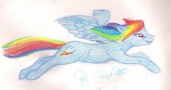 Size: 400x209 | Tagged: safe, artist:queensmate, rainbow dash, pegasus, pony, blue coat, female, mare, solo, traditional art