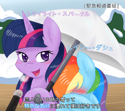 Size: 1280x1143 | Tagged: safe, artist:ambris, rainbow dash, twilight sparkle, pegasus, pony, blushing, dialogue, ear fluff, embarrassed, female, holding, japanese, lesbian, looking at you, mare, microphone, open mouth, shipping, snow, special feeling, talking, twidash, umbrella, visible breath