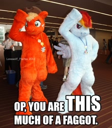 Size: 1000x1140 | Tagged: safe, derpibooru import, applejack, rainbow dash, human, fursuit, image macro, irl, irl human, op is a faggot, photo, vulgar