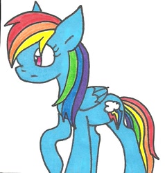 Size: 540x567 | Tagged: safe, artist:cmara, derpibooru import, rainbow dash, pegasus, pony, solo, traditional art