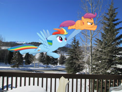 Size: 4608x3456 | Tagged: safe, artist:martinnus1, artist:missbeigepony, rainbow dash, scootaloo, flying, helping, irl, photo, ponies in real life, porch, snow, street, tree, vector