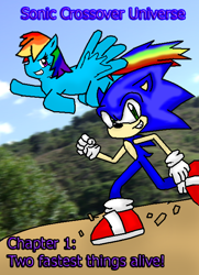 Size: 484x667 | Tagged: safe, artist:sonicanimation23, derpibooru import, rainbow dash, pegasus, pony, crossover, ms paint, photoshop, sonic the hedgehog, sonic the hedgehog (series)