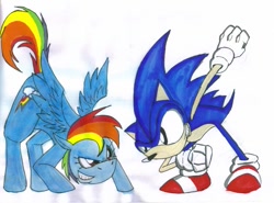 Size: 861x636 | Tagged: safe, artist:gojira007, derpibooru import, rainbow dash, pegasus, pony, crossover, sonic the hedgehog, sonic the hedgehog (series), traditional art