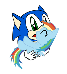 Size: 400x440 | Tagged: safe, artist:idsmehlite, derpibooru import, rainbow dash, pegasus, pony, crossover, filly, filly rainbow dash, holding a pony, sonic the hedgehog, sonic the hedgehog (series)