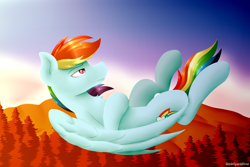 Size: 3000x2000 | Tagged: safe, artist:spirit-dude, derpibooru import, rainbow dash, pegasus, pony, flying, forest, solo, upside down