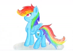 Size: 1753x1240 | Tagged: safe, derpibooru import, rainbow dash, pegasus, pony, back, traditional art, watercolor painting