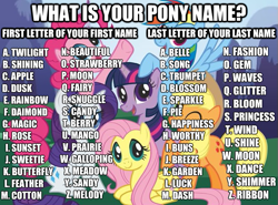 Size: 625x463 | Tagged: safe, derpibooru import, applejack, fluttershy, pinkie pie, rainbow dash, rarity, twilight sparkle, earth pony, pegasus, pony, unicorn, game, image macro, name, name game