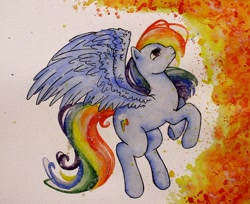 Size: 960x785 | Tagged: safe, artist:batwitch, rainbow dash, pegasus, pony, blue coat, female, mare, solo, traditional art