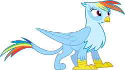 Size: 10656x6000 | Tagged: safe, artist:dasprid, rainbow dash, griffon, absurd resolution, griffonized, rainbow griffon, recolor, simple background, solo, species swap, transparent background, vector