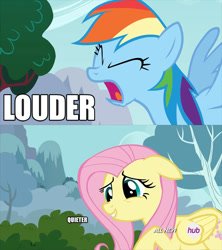 Size: 640x720 | Tagged: safe, screencap, fluttershy, rainbow dash, pegasus, pony, it ain't easy being breezies, sonic rainboom (episode), callback, caption, comparison, hub logo, image macro, meme