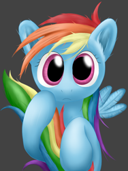 Size: 600x800 | Tagged: safe, artist:horuru, rainbow dash, pegasus, pony, female, mare, pixiv, simple background, solo, white background