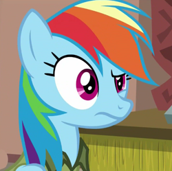 Size: 478x476 | Tagged: safe, derpibooru import, screencap, rainbow dash, pegasus, pony, stranger than fan fiction, solo