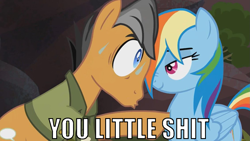 Size: 1129x635 | Tagged: safe, derpibooru import, edit, edited screencap, screencap, quibble pants, rainbow dash, pegasus, pony, stranger than fan fiction, caption, image macro, lidded eyes, meme, reaction image, vulgar