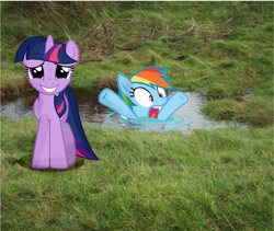 Size: 3056x2576 | Tagged: safe, artist:fire-d-brony540, rainbow dash, twilight sparkle, drowning, irl, photo, ponies in real life, swimming, water