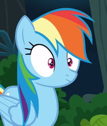 Size: 387x458 | Tagged: safe, derpibooru import, screencap, rainbow dash, pegasus, pony, stranger than fan fiction, solo