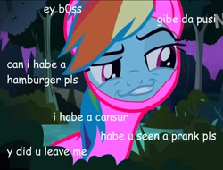 Size: 824x626 | Tagged: safe, derpibooru import, edit, edited screencap, screencap, rainbow dash, pegasus, pony, comic sans, dank memes, faic, filthy frank, image macro, meme, pink guy, shitposting, smug, smugdash