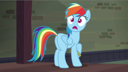 Size: 853x480 | Tagged: safe, derpibooru import, screencap, rainbow dash, pegasus, pony, stranger than fan fiction, female, mare, plot, raised hoof, solo