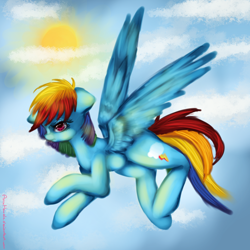 Size: 2000x2000 | Tagged: safe, artist:anuhanele, derpibooru import, rainbow dash, pegasus, pony, blue coat, female, flying, mare, multicolored mane