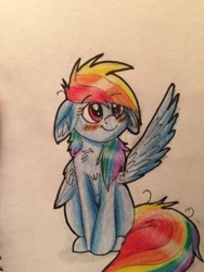 Size: 2448x3264 | Tagged: safe, artist:snowfoxythefox, derpibooru exclusive, derpibooru import, rainbow dash, pegasus, pony, blushing, chest fluff, chibi, colored, colored pencil drawing, colored sketch, cute, dashabetes, floppy ears, smiling, solo, traditional art, wingboner, wings, young