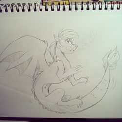 Size: 1440x1440 | Tagged: safe, artist:bloodyhellhayden, rainbow dash, dragon, monochrome, solo, species swap, traditional art