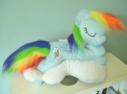 Size: 1024x762 | Tagged: safe, artist:pinkamoone, rainbow dash, irl, photo, plushie