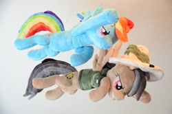 Size: 800x530 | Tagged: safe, artist:makeshiftwings30, daring do, rainbow dash, irl, photo, plushie