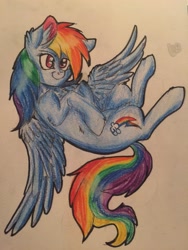 Size: 2448x3264 | Tagged: safe, artist:snowfoxythefox, derpibooru import, rainbow dash, pegasus, pony, 30 minute art challenge, chest fluff, colored, colored pencil drawing, colored sketch, cute, dashabetes, ear fluff, flying, on back, pencil, pencil drawing, simple background, smiling, solo, traditional art, white background