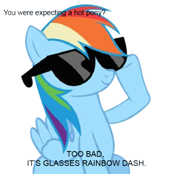 Size: 645x645 | Tagged: safe, rainbow dash, pegasus, pony, troll, bad joke, glasses, meme, solo