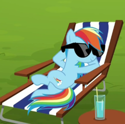 Size: 283x280 | Tagged: safe, derpibooru import, screencap, rainbow dash, pegasus, pony, the cart before the ponies, solo, sunglasses