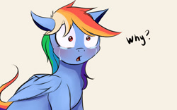 Size: 1920x1200 | Tagged: safe, artist:miokomata, derpibooru import, rainbow dash, pegasus, pony, crying, dialogue, open mouth, question mark, sad, solo, text