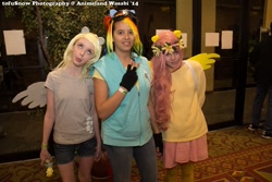 Size: 1024x683 | Tagged: artist needed, safe, derpy hooves, fluttershy, rainbow dash, human, 2014, animeland wasabi, animeland wasabi 2014, convention, cosplay, floral head wreath, irl, irl human, photo