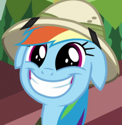 Size: 387x396 | Tagged: safe, derpibooru import, screencap, rainbow dash, pegasus, pony, stranger than fan fiction, cute, dashabetes, female, floppy ears, grin, happy, mare, smiling, solo, teeth