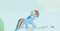 Size: 1439x762 | Tagged: safe, screencap, rainbow dash, pegasus, pony, maud pie (episode), flying, hub logo, meme, solo, youtube caption