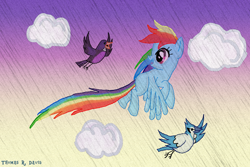 Size: 864x576 | Tagged: safe, artist:thomasriordan, rainbow dash, bird, pegasus, pony, cloud, cloudy, flying, solo