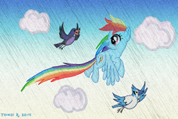 Size: 864x576 | Tagged: safe, artist:thomasriordan, rainbow dash, bird, pegasus, pony, cloud, cloudy, flying, solo