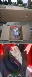 Size: 1320x3144 | Tagged: safe, rainbow dash, pegasus, pony, fanfic:my little dashie, canaletto, dashie meme, evil people finding dash meme, exploitable meme, meme, oban star racers