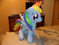 Size: 3264x2448 | Tagged: safe, artist:judhudson, rainbow dash, irl, photo, plushie