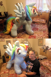 Size: 3264x4896 | Tagged: safe, artist:judhudson, rainbow dash, irl, photo, plushie