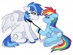 Size: 1970x1500 | Tagged: artist needed, safe, derpibooru import, rainbow dash, oc, oc:rainy, pegasus, pony, bedroom eyes, canon x oc, collar, commission, female, floppy ears, leash, lidded eyes, looking at each other, male, pet play, romantic, shipping, smiling, spread wings, straight, wings