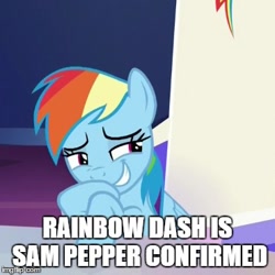 Size: 370x370 | Tagged: safe, derpibooru import, edit, edited screencap, screencap, rainbow dash, pegasus, pony, 28 pranks later, caption, cropped, image macro, meme, sam pepper