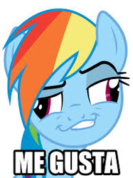 Size: 194x259 | Tagged: artist needed, safe, rainbow dash, pegasus, pony, derp, image macro, me gusta, meme, smugdash, solo