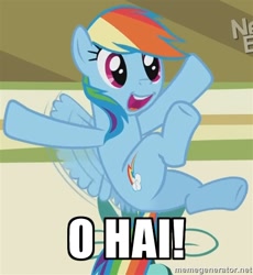 Size: 500x543 | Tagged: safe, rainbow dash, pegasus, pony, faic, image macro, meme, o hai, solo