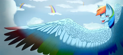 Size: 3776x1698 | Tagged: safe, artist:twigpony, derpibooru import, rainbow dash, pegasus, pony, cloud, colored wings, flying, large wings, looking back, multicolored wings, rainbow, rainbow wings, smiling, solo, spread wings