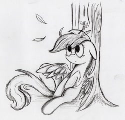 Size: 914x873 | Tagged: safe, artist:otto720, rainbow dash, pegasus, pony, monochrome, rainbow crash, solo