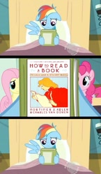 Size: 581x1000 | Tagged: safe, rainbow dash, earth pony, pegasus, pony, book, book cover, exploitable meme, meme, reading rainbow, wat