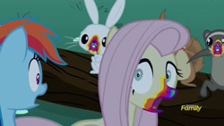 Size: 1280x720 | Tagged: safe, derpibooru import, screencap, angel bunny, fluttershy, rainbow dash, pegasus, pony, 28 pranks later, cookie zombie, discovery family logo, rainbow muzzle