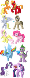 Size: 450x1178 | Tagged: safe, artist:emilou1985, derpibooru import, applejack, big macintosh, derpy hooves, doctor whooves, fluttershy, pinkie pie, rainbow dash, rarity, spike, twilight sparkle, dragon, earth pony, pegasus, pony, unicorn, male, mane six, stallion