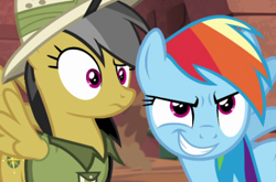 Size: 478x315 | Tagged: safe, derpibooru import, screencap, daring do, rainbow dash, pegasus, pony, confused, smiling, smirk, teeth, wtf