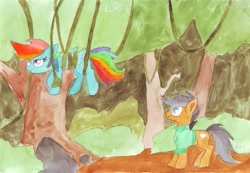 Size: 4614x3201 | Tagged: artist needed, safe, derpibooru import, quibble pants, rainbow dash, pegasus, pony, forest, suspended, tangled up, traditional art, vine