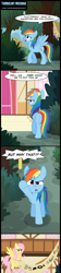 Size: 800x3588 | Tagged: safe, artist:toxic-mario, edit, big macintosh, fluttershy, rainbow dash, earth pony, pegasus, pony, best pony, comic, fluttermac, male, shipping, stallion, straight